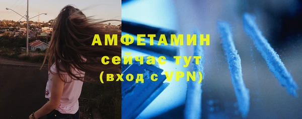 стаф Пересвет