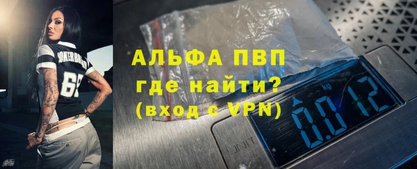 стаф Пересвет