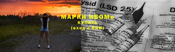 стаф Пересвет