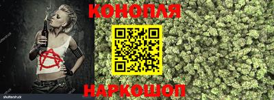 PSILOCYBIN Кандалакша