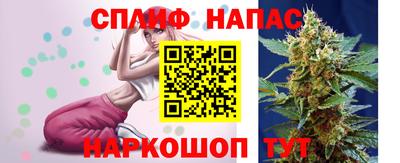 СК Канаш