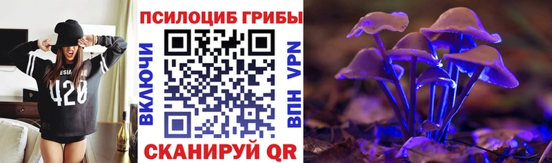 Псилоцибиновые грибы Psilocybine cubensis Топки