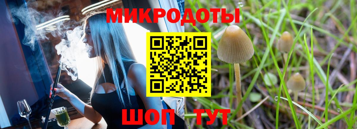 Галлюциногенные грибы мицелий Топки
